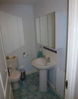 Extra image 13