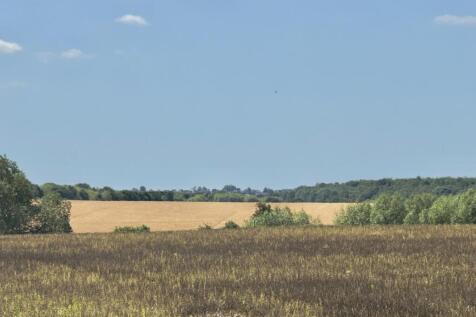 IMG_2593.jpg
