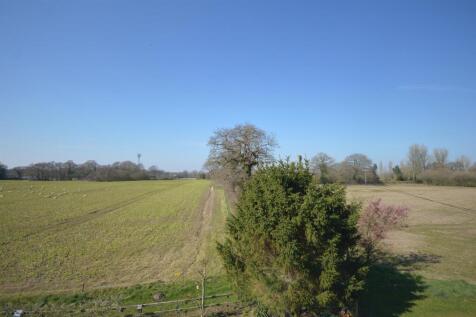DSC_0123.JPG