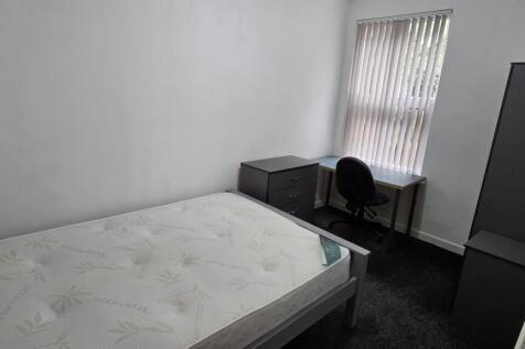 PHOTO-2025-11-04-09-56-35 4.jpg