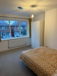 PHOTO-2025-11-04-04-51-02 16.jpg