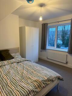 PHOTO-2025-11-04-04-51-02 17.jpg