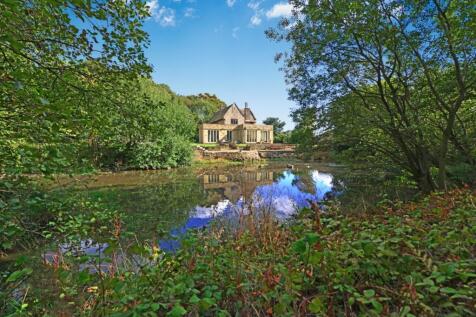 Pond