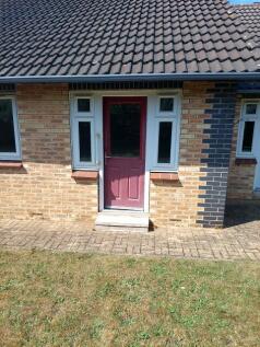 Rear Door