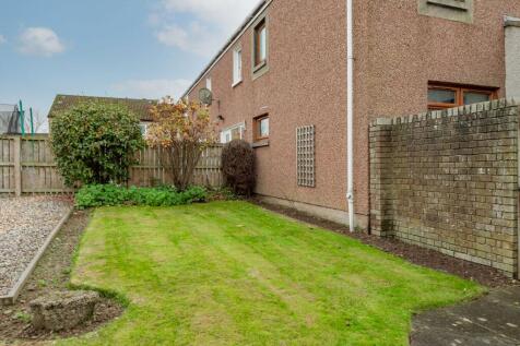 Back Garden