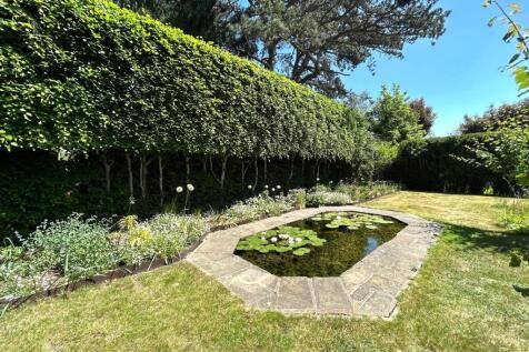 Pond