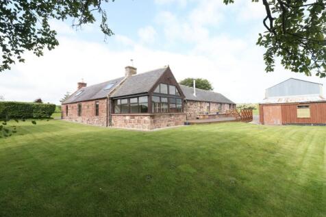 Rear Gardens