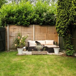 Garden1
