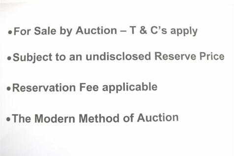 Auction.jpg