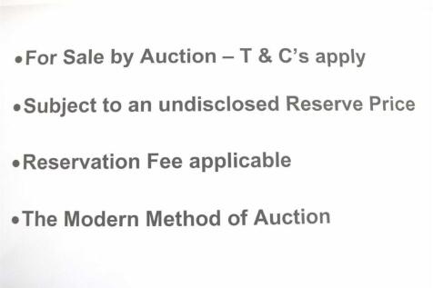 Auction Image.jpg