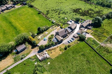 DJI_0875.jpg