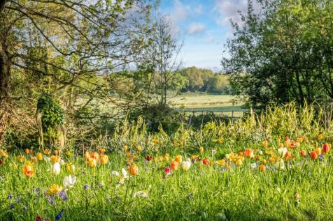 Meadow