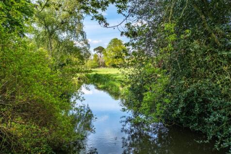 Ockham Mill Stream