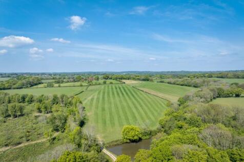 Grassland