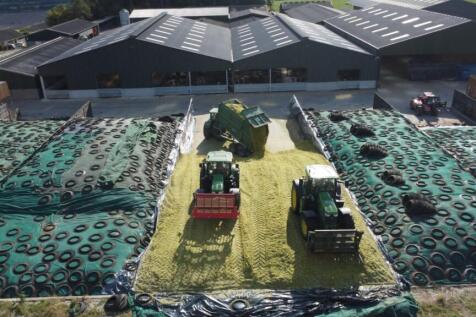 Silaging