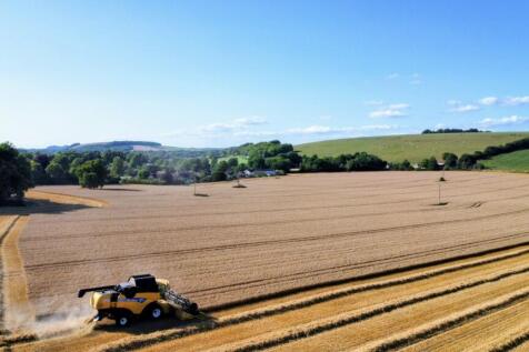 Harvest