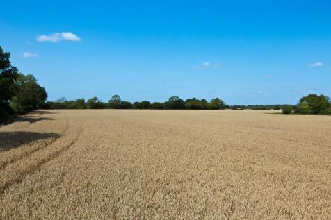 Land