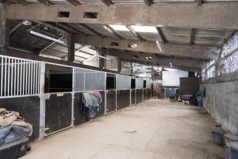 Lot 1