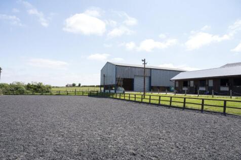 Lot 1