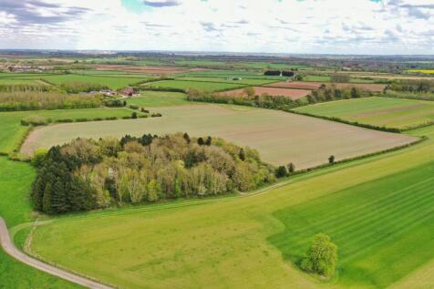 Arable Land