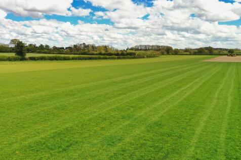 Turf