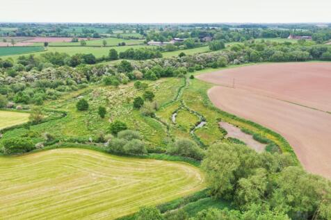 Wetland &amp; Woodland