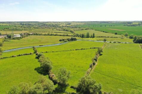 Pasture