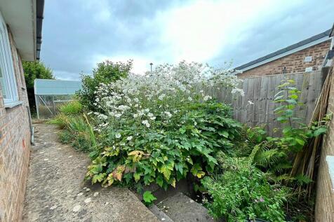 Side garden