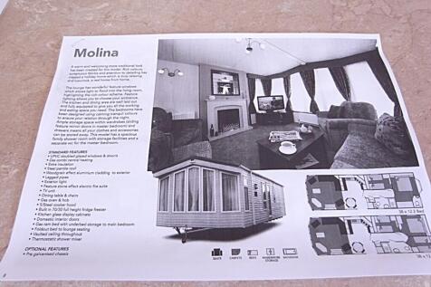 Molina Brochure