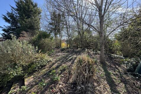 Raised garden