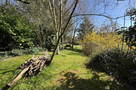 Woodland area 1
