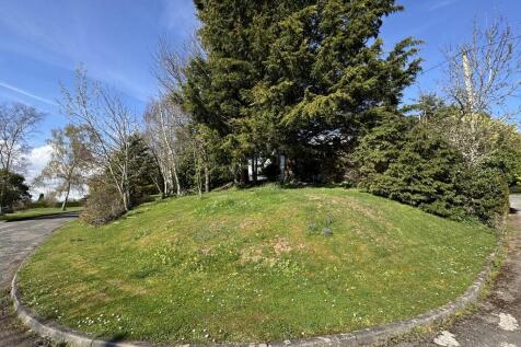 Woodland area fro...