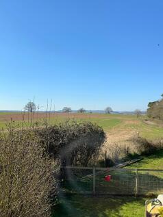 Garden views 2