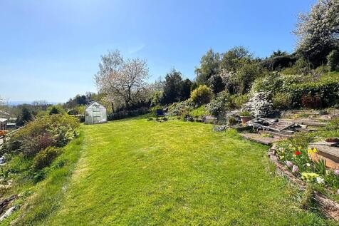 Garden 9