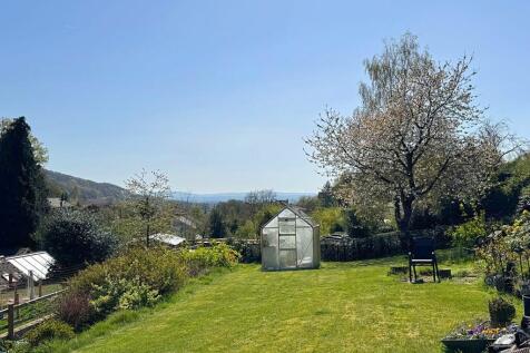 Garden 1