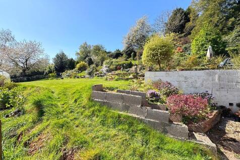 Garden 8