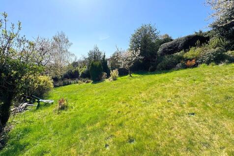 Garden 10