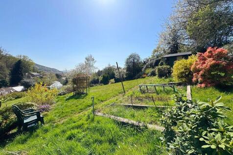 Garden 11