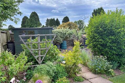 Garden (1)