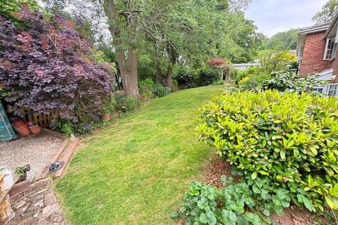 Garden (4)