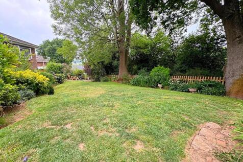 Garden (7)