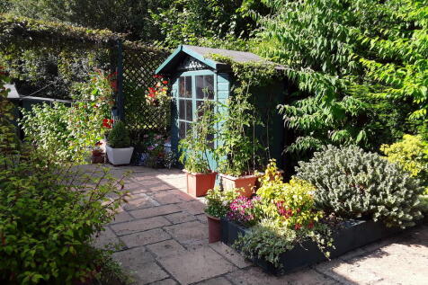 garden shot 2