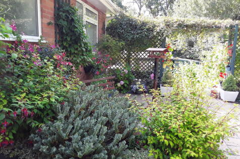 garden shot 3