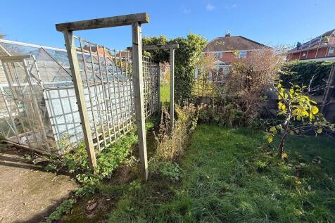 Garden with green...