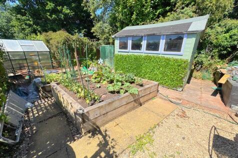Garden veg plots
