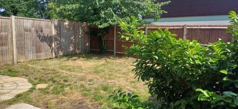 Back garden 