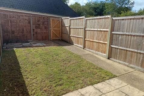 Back garden 