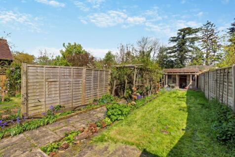 Garden photo 2022