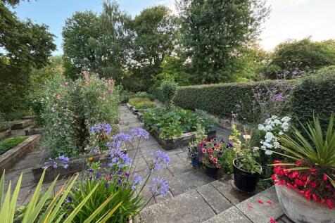 Property Image 45