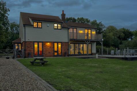 Sheeps Nighttime  (75).jpg